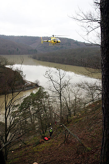 Helikopterfällung - Projekt: Helikopterfällung im Nationalpark Kellerwald-Edersee